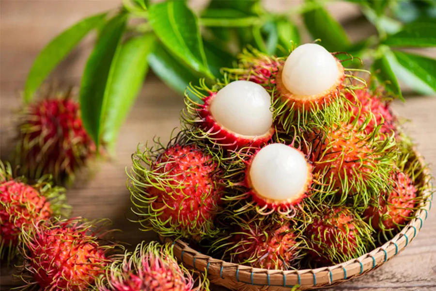 Rambutan view 2