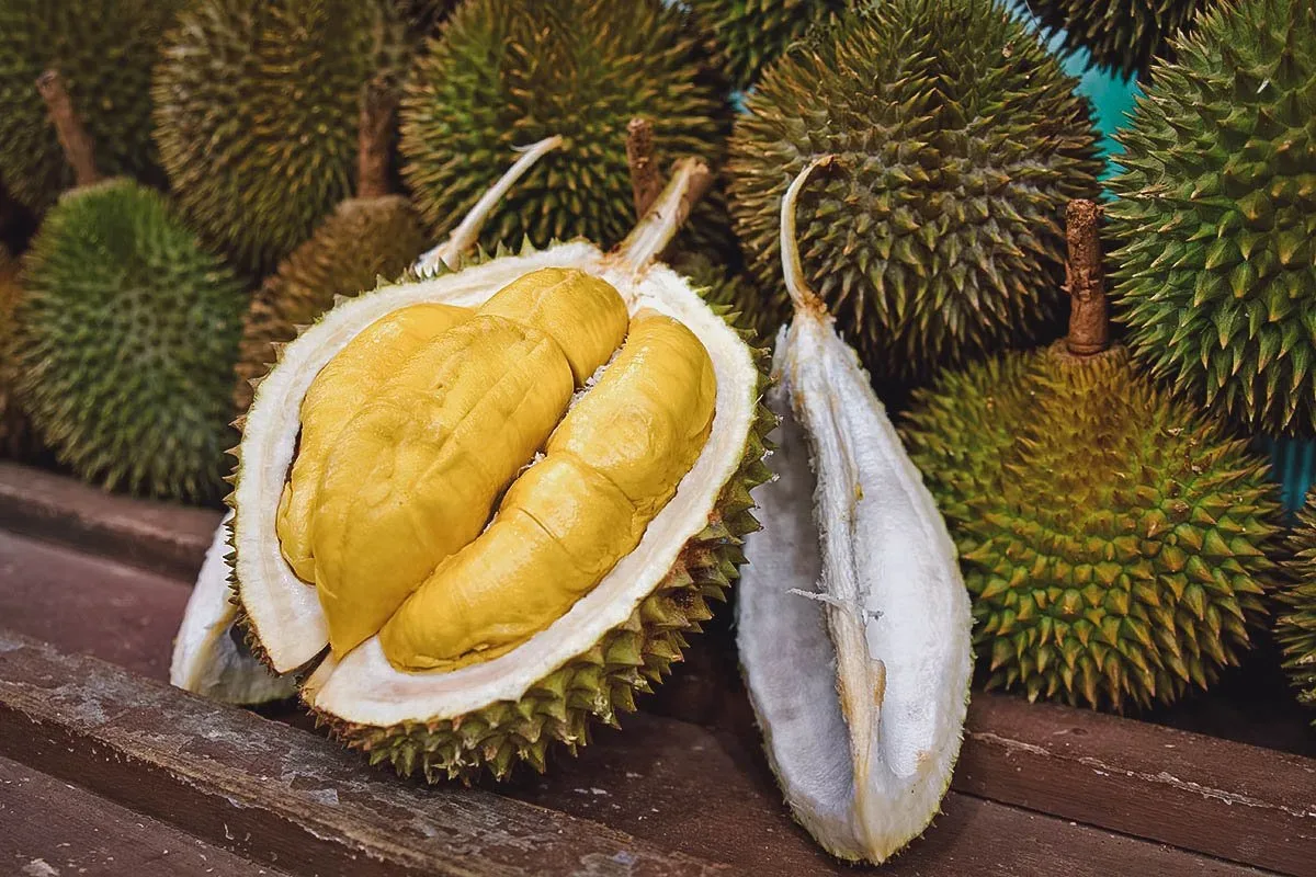 Durian view 2
