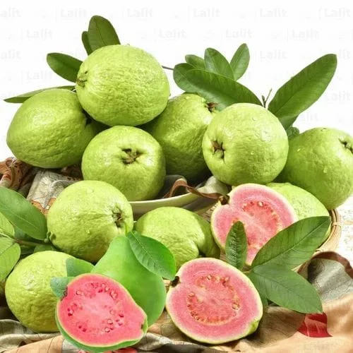 Red Guava view 2